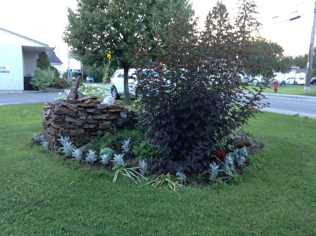 Gil Ann Bed & Breakfast Saint-André-Avellin Exterior foto
